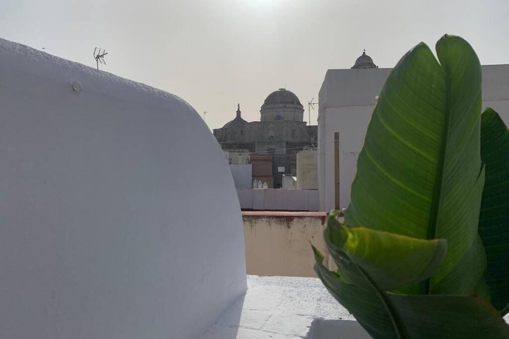 Hidden Gem Penthouse Populo Y Catedral Apartment Cadiz Ngoại thất bức ảnh